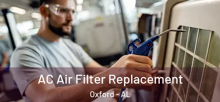  AC Air Filter Replacement Oxford - AL
