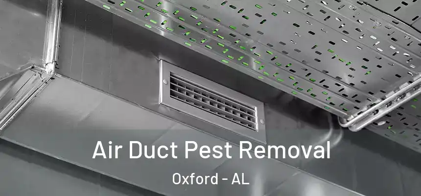 Air Duct Pest Removal Oxford - AL