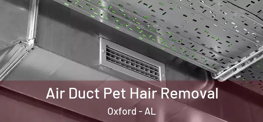 Air Duct Pet Hair Removal Oxford - AL