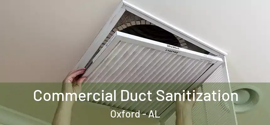 Commercial Duct Sanitization Oxford - AL