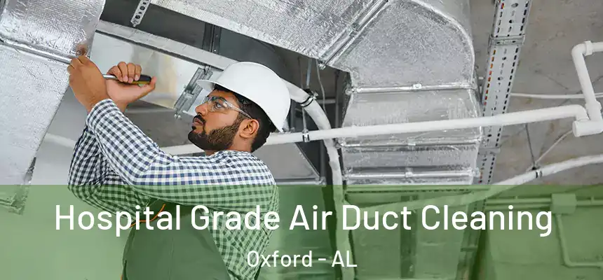 Hospital Grade Air Duct Cleaning Oxford - AL