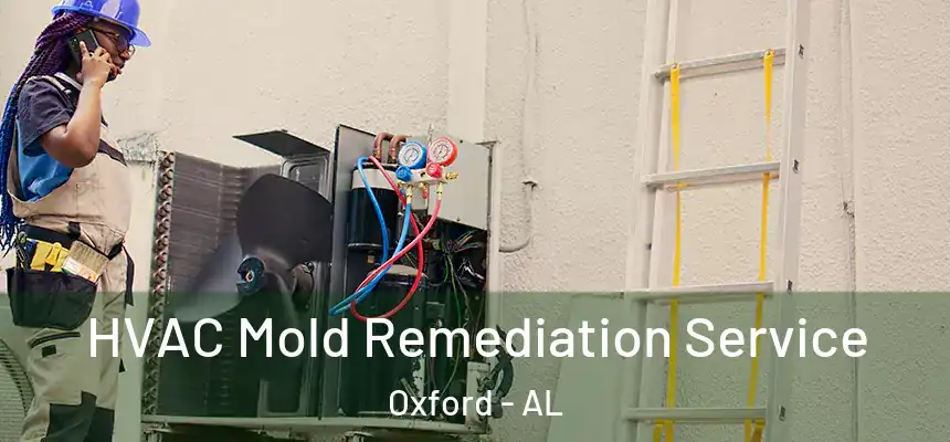  HVAC Mold Remediation Service Oxford - AL