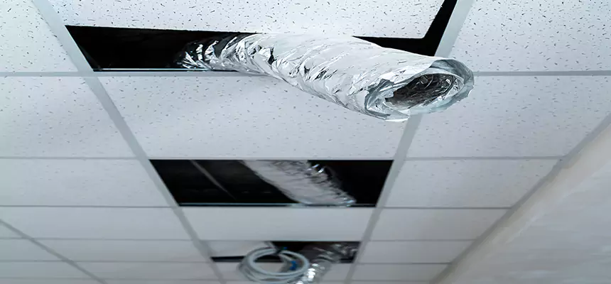 Our Air Duct Pet Hair Removal Services in Oxford, AL