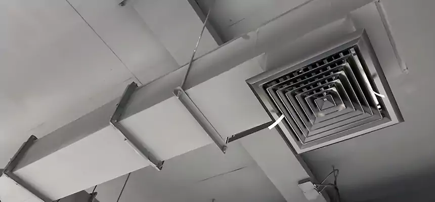 Our Rodent Droppings In Vents Services in Oxford, AL