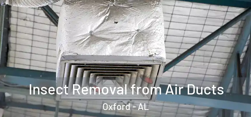  Insect Removal from Air Ducts Oxford - AL
