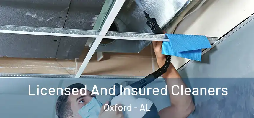  Licensed And Insured Cleaners Oxford - AL