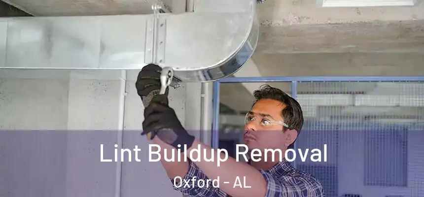  Lint Buildup Removal Oxford - AL
