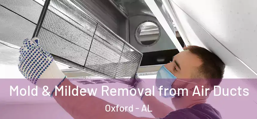 Mold & Mildew Removal from Air Ducts Oxford - AL