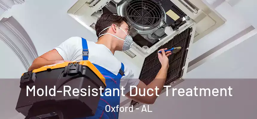  Mold-Resistant Duct Treatment Oxford - AL