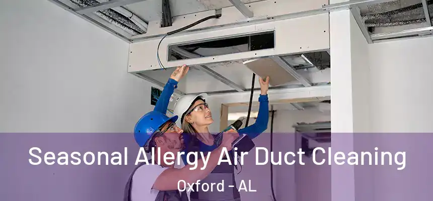 Seasonal Allergy Air Duct Cleaning Oxford - AL