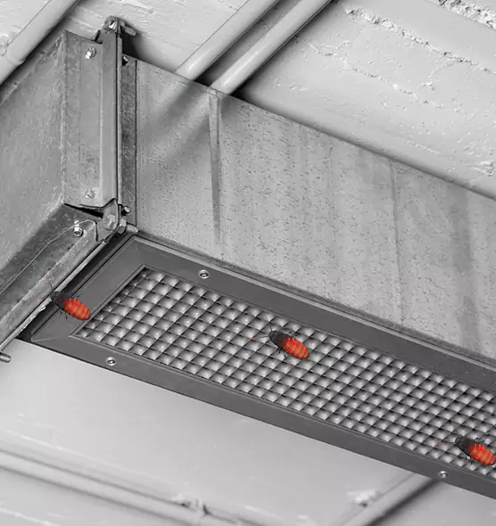 About Air Duct Cockroach Removal in Oxford, AL