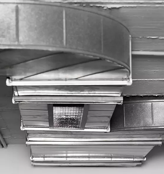 Professional Air Duct Pest Removal in Oxford, AL